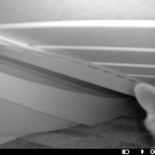 Expert-Raccoon-Removal-in-North-Charleston 0