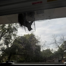 Squirrel Removal James Island, SC 1