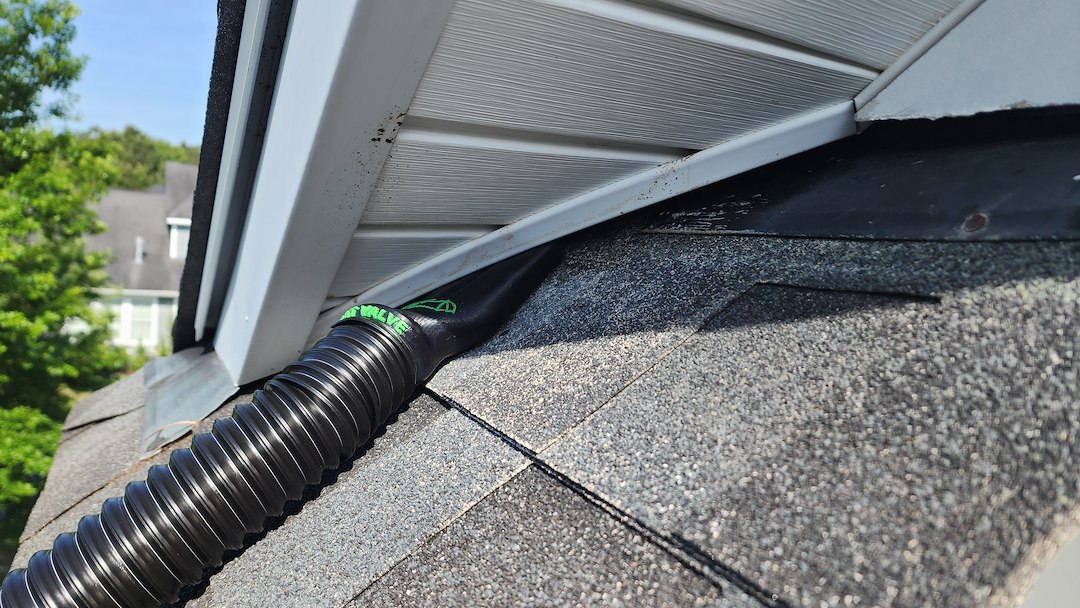 Top Quality Bat Removal Performed in Mount Pleasant