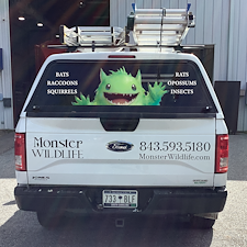 Top-Quality-Bat-Removal-Performed-in-Mount-Pleasant 0